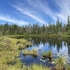 2023 Vermont Wetland Bioassessment icon