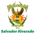City Nature Challenge 2023: UAS - Salvador Alvarado, Sinaloa icon
