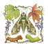 Mothapalooza 2023 - Flora/Fauna icon