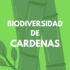 Biodiversidad de Cardenas, Tab. icon