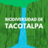 Biodiversidad de Tacotalpa, Tab. icon