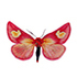TR, Moths of Türkiye icon