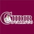 CIIDIR Durango - IPN icon