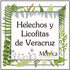Helechos y Licofitas de Veracruz, México icon