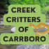 Creek Critters of Carrboro icon