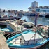 Nights in Tunisia icon