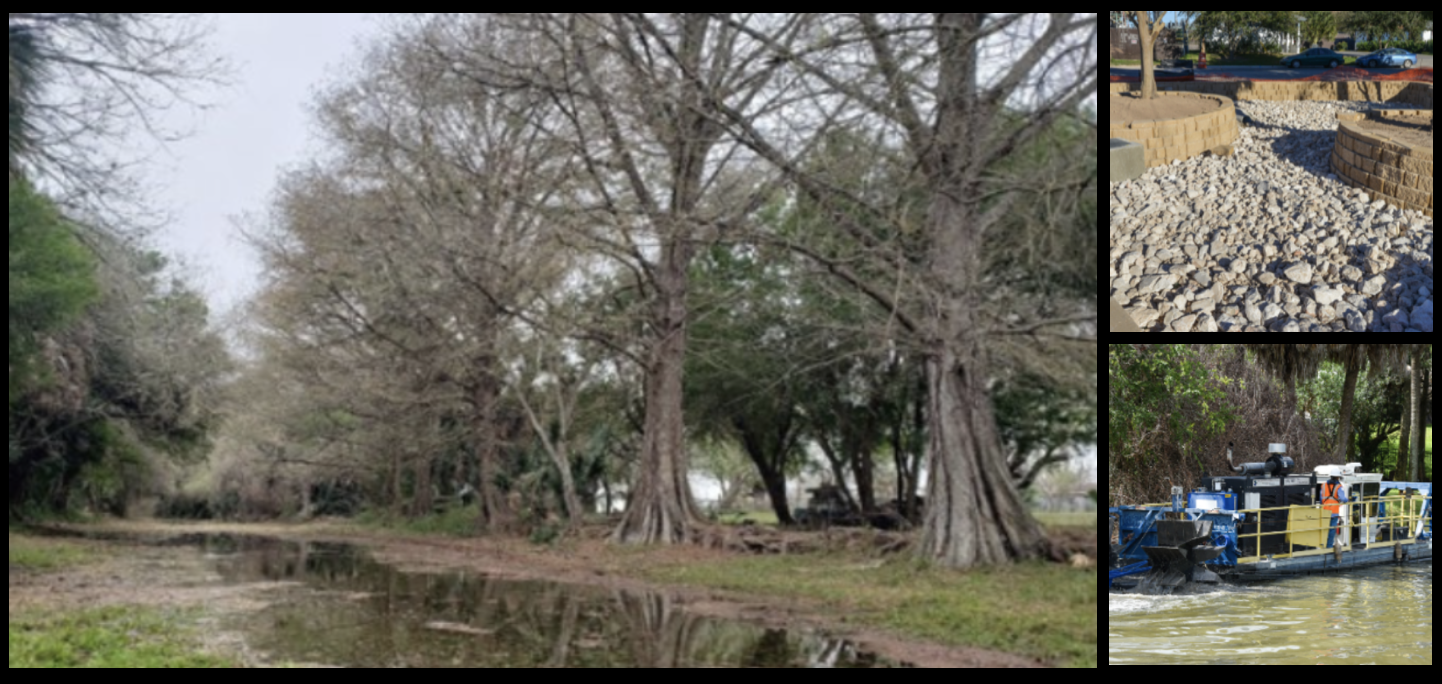 Wildlife at Resaca Restoration · iNaturalist