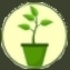 California Pipevine Project icon