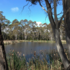 St Aloysius Peter Murrell Reserve Project icon