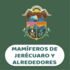 Mamíferos de Jerécuaro y alrededores icon