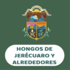 Hongos de Jerécuaro y alrededores icon