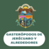 Gasterópodos de Jerécuaro y alrededores icon