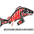 Mossom Creek Bioblitz 2023 icon