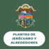 Plantas de Jerécuaro y alrededores icon