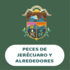 Peces de Jerécuaro y alrededores icon
