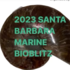2023 Santa Barbara BioBlitz icon