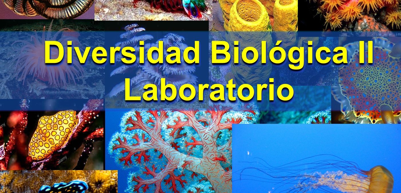 DB2 2023 · iNaturalist