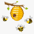 Cape honeybee wild colony Spot icon