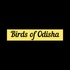 Birds of Odisha icon