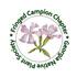 Fringed Campion Chapter of GNPS 2023 Pollinator Week BioBlitz! icon