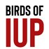 Birds of IUP (Indiana University of Pennsylvania, Indiana County) icon