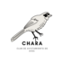 &quot;Chara” Club de avistamiento de aves icon
