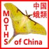 Moths of China 中国蛾類 icon