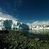 Antarctic Marine Biodiversity - Biodiversidad Marina Antarctica icon