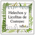 Helechos y Licofitas de Coatepec, Veracruz, México icon