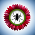 Lesvos - Insect Communities Research Group Pollination Study icon