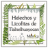 Helechos y Licofitas de Tlalnelhuayocan, Veracruz, México icon