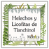Helechos y Licofitas de Tlanchinol, Hidalgo, México icon