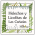 Helechos y Licofitas de Las Cañadas, Veracruz, México icon