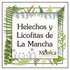 Helechos y Licofitas de La Mancha, Veracruz, México icon