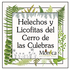 Helechos y Licofitas del Cerro de las Culebras, Veracruz, México icon