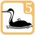 Outdoor Core 5 - Birds icon
