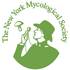 Fungi of NYC - New York Mycological Society icon