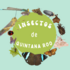 Insectos de Quintana Roo icon
