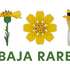 Baja Rare icon