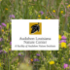 Parks for Pollinators | Audubon Louisiana Nature Center 2023 icon