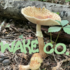 Fungi of Wake County icon