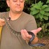 Serpentes da Costa do Descobrimento-BA icon