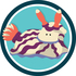Tasmanian Sea Slug Census Oct-Nov 2023 icon