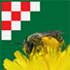 Wild Bees of Croatia / Pčele Hrvatske icon