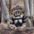 Huntsman spiders of Morocco icon