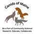Canids of Maine icon