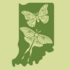 Lepidoptera Unveiled: Mitigation Site icon