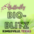 Kingsville Butterfly BioBlitz 2023 icon
