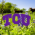 Beef for Bees at TCU icon