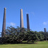 BioBlitz in Sydney Park icon